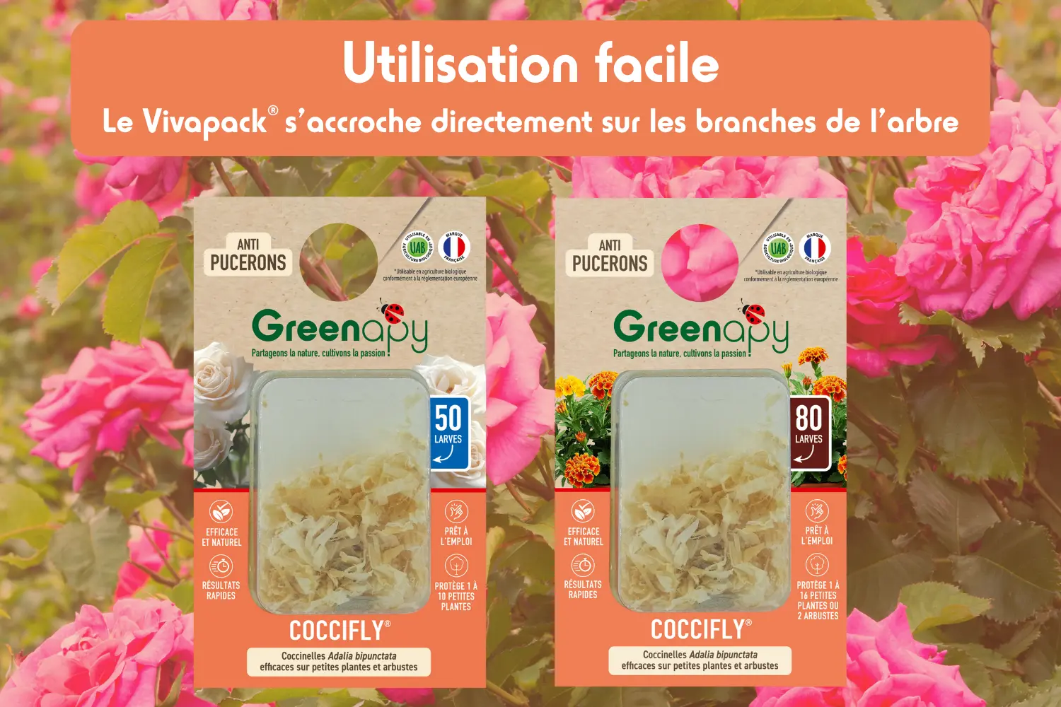 vivapack utilisation facile