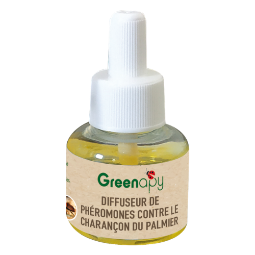 recharge phéromone charancon du palmier greenapy