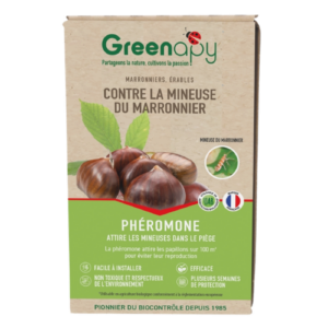pheromone mineuse du marronnier greenapy