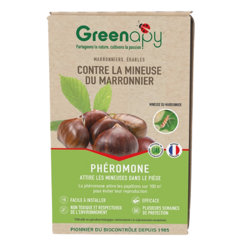 pheromone mineuse du marronnier greenapy
