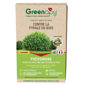 phéromone pyrale du buis greenapy