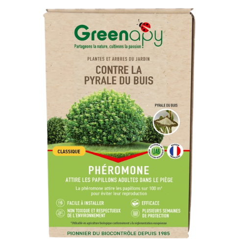 phéromone pyrale du buis greenapy