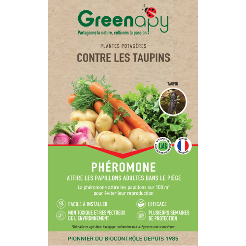 pheromone taupins greenapy