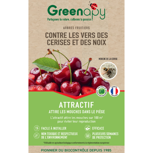attractif mouche de la cerise et noix greenapy