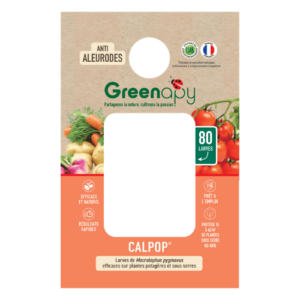 calpop macrolophus greenapy
