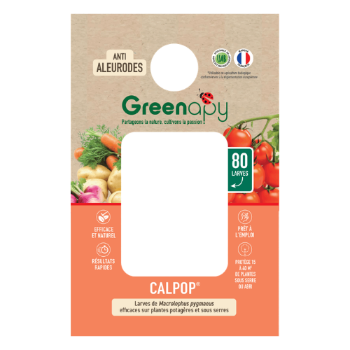 calpop macrolophus greenapy