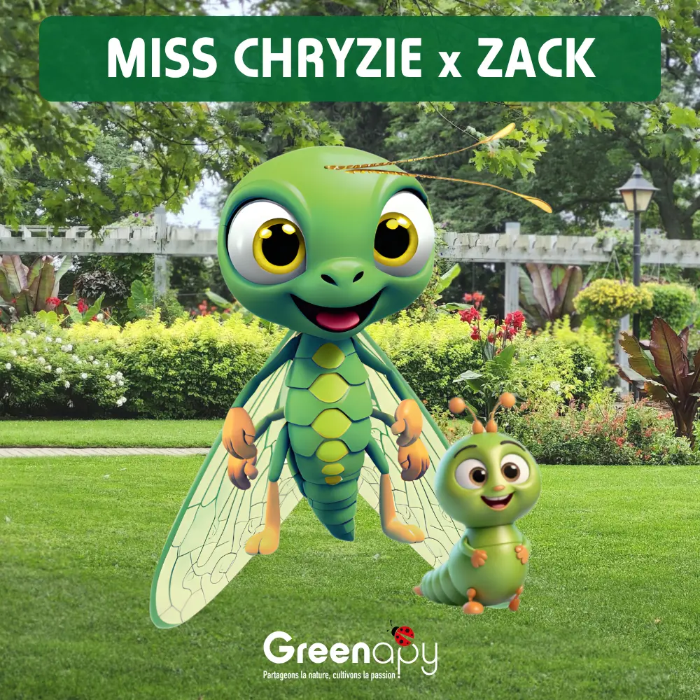Kit d’élevage de chrysopes Greenapy pour enfants avec Miss Chryzie et Zack