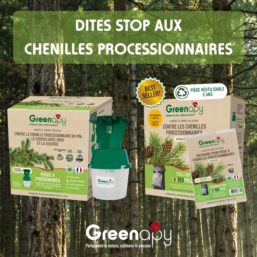 solution de protection chenille processionnaire du pin